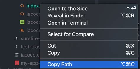 JUnit Test Using Selenium in vs Code 的图像结果