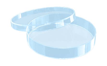 CAMS Certification Steps - India Dictionary