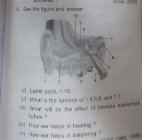 Please answer its urgent - Brainly.in