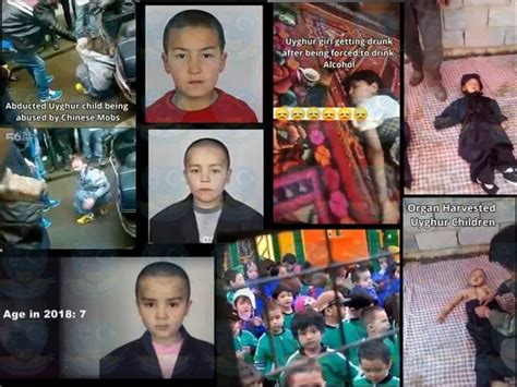 Human rights body holds Chinese President accountable for abuses on ...