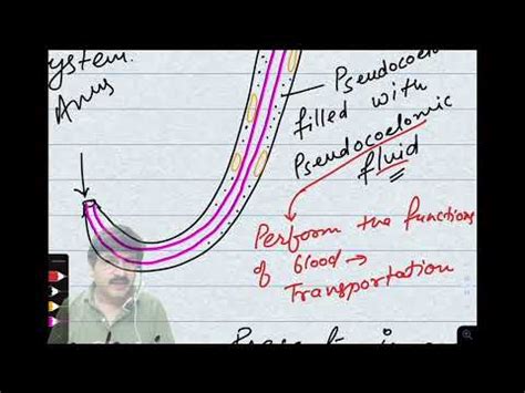 Basis of classification - 2 Video Lecture - UPSC