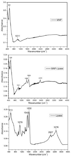 Suitability of Recombinant Lipase Immobilised on Functionalised ...