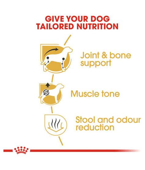 Royal Canin Dachshund Adult Dog Dry Food – ShakeHands