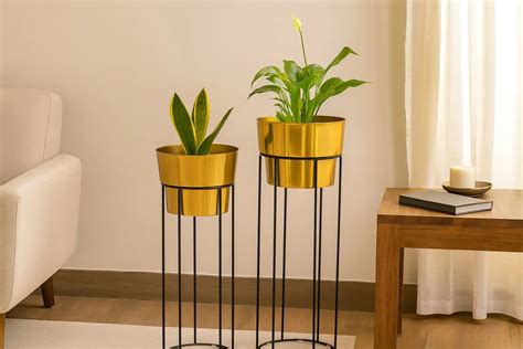 Top 10 Stunning Planters for a Wonderful Festive Home Decoration