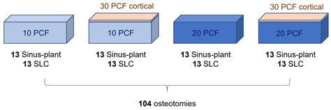 Comparative Evaluation of Primary Stability in Truncated Cone Implants ...
