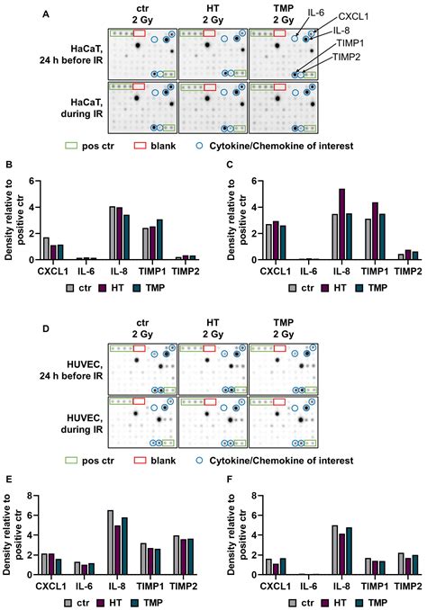 Antioxidants Hydroxytyrosol and Thioredoxin-Mimetic Peptide CB3 Protect ...