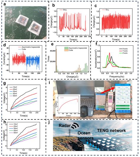 Shell-Optimized Hybrid Generator for Ocean Wave Energy Harvesting