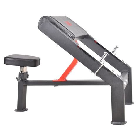 Preacher Curl Bench — MSFFIT