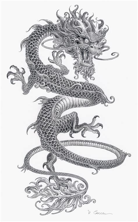 dragon drawing design