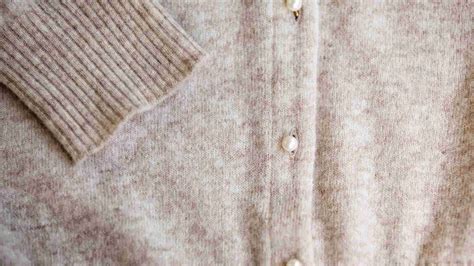 Image result for Angora Goat Wool