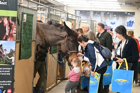 Horse World Expo
