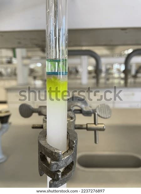 Extraction Lab 的图像结果