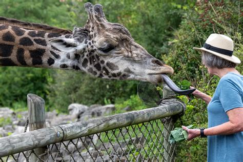 Wild Encounters - Pittsburgh Zoo & Aquarium
