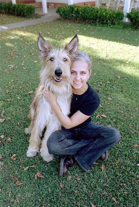 Because of Winn-Dixie (2005) - Photos - IMDb