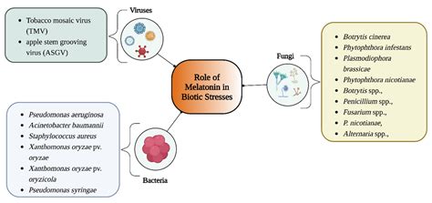 Melatonin Function and Crosstalk with Other Phytohormones under Normal ...