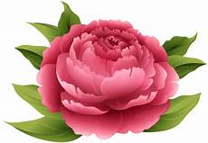 peony clipart peony png clip image gallery yopriceville high peony clipart peony png clip image gallery yopriceville high