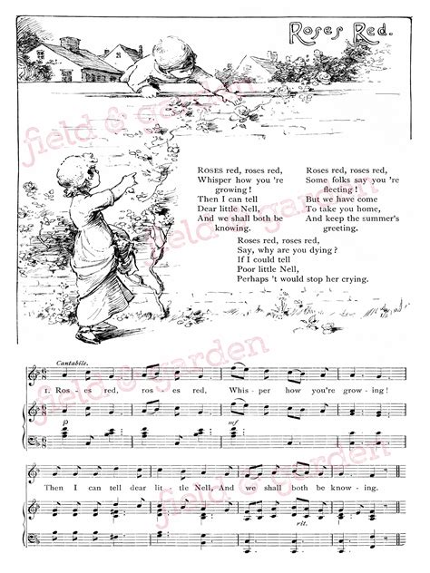 Field & Garden: Vintage Illustrated Children's Poem: Roses Red (Garden ...