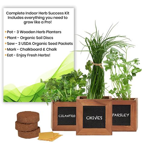 Indoor Herb Garden Planter
