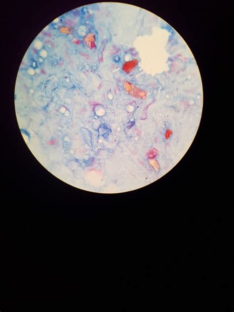 Microscope Slide 的图像结果