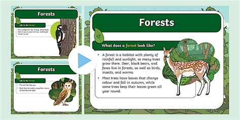Forrest Language Techniques 的图像结果