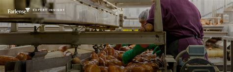 A Deep dive analysis of the Frozen Food & Food Processing Segment ...