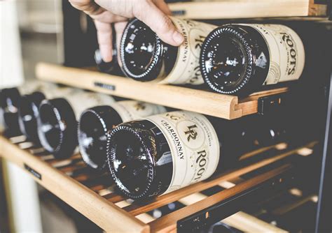 Living Roots Wine & Co. | Rochester, NY 14607