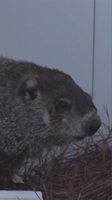 Valerie Wynn appointed Macon-Bibb Mayor Pro Tempore, Seth Clark hints ...