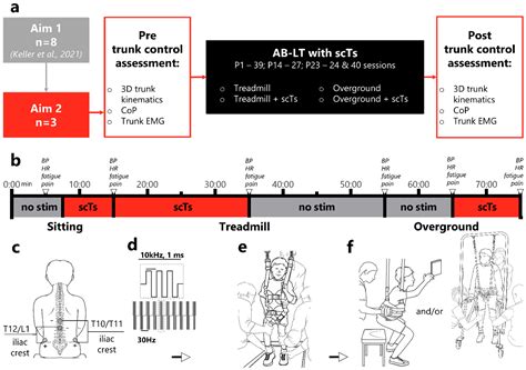 Cumulative Transcutaneous Spinal Stimulation with Locomotor Training ...