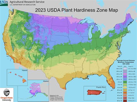 Plant hardiness zones | Definition, USDA, Update, Uses, & Facts ...