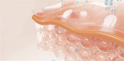 What Causes Cellulite on the Legs? – Life's Butter