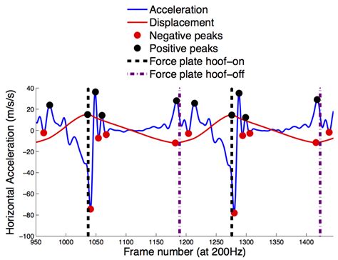 Accuracy and Precision of Equine Gait Event Detection during Walking ...