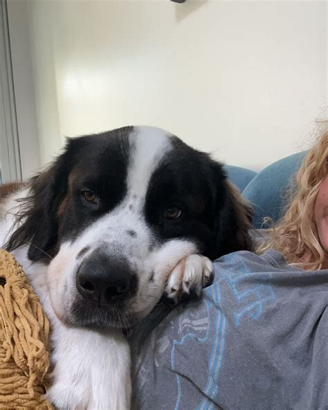 claire bear | life update: been down bad sick for days 🤒 | Instagram