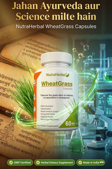 NutraHerbal Wheatgrass Capsules | Wheat Grass Capsule for Detox, Immun ...