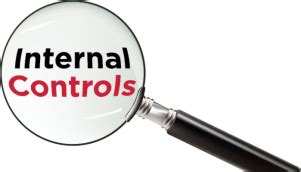 Internal Control System 的图像结果