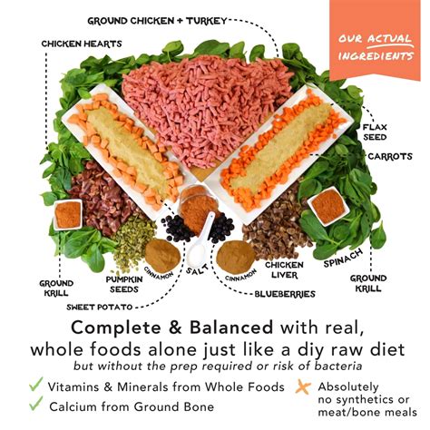 SIMPLE FOOD PROJECT 6-Pack Sample Bundle Freeze-Dried Dog Food, 6-oz ...