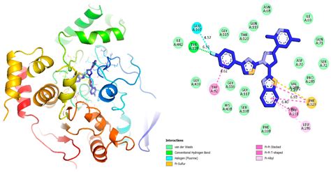 The Synthesis, In Vitro Bio-Evaluation, and In Silico Molecular Docking ...