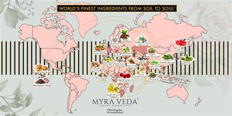 Amazon.in: Myra Veda Luxury Essentials: Facial Mist