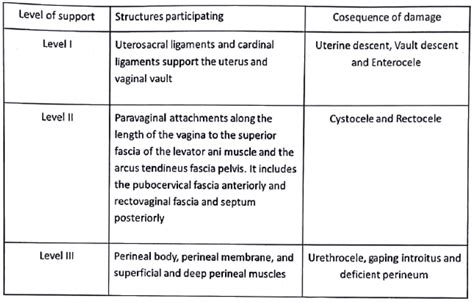 Prolapse of uterus - Medical Science Optional Notes for UPSC PDF Download