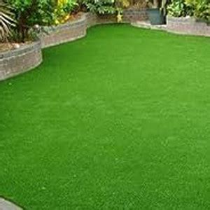 naturehils Grass Seeds for Garden/Park/Playground, Lawn Grass Seed ...