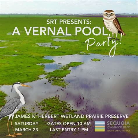 Herbert - A Vernal Pools Party! , Herbert Wetland Prairie Preserve ...