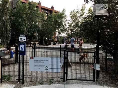 Is Calgary going to the dogs? — Everyday Tourist