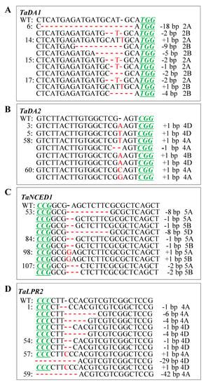 Highly Efficient and Heritable Targeted Mutagenesis in Wheat via the ...