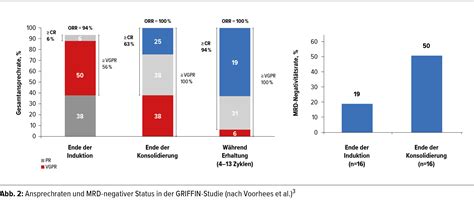 Multiples Myelom – die wichtigsten Studienergebnisse im Überblick ...