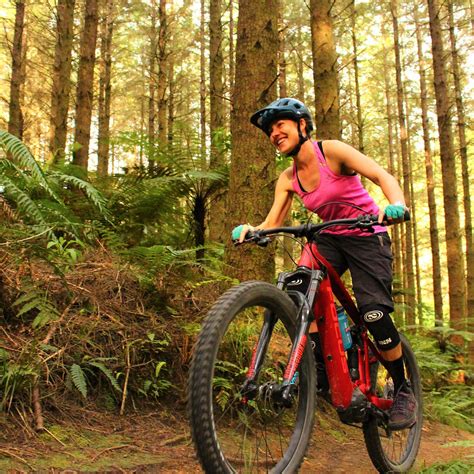 ELECTRIC BIKE ROTORUA (2026) All You Need to Know BEFORE You Go (with ...