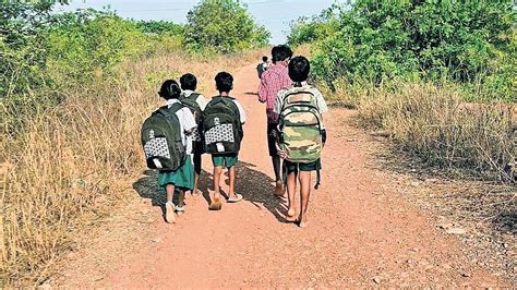 It is election time again, but Irular tribals in TN's Thamaraikkuppam ...