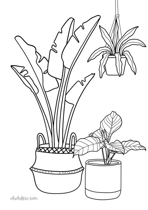 Plants Coloring Pages Plant Coloring Pages (Free PDF Printables)