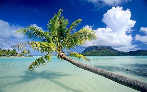 Beautiful Ocean View 的图像结果