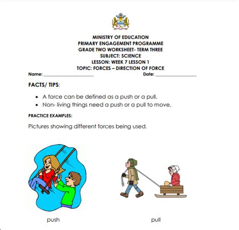 Image result for Free Printable Second Grade Science Worksheet