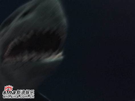 资料图片：《大白鲨之致命武器》独家剧照(8)_影音娱乐_新浪网