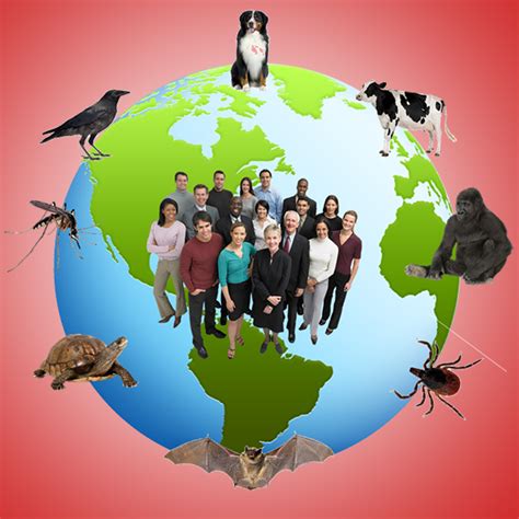 What is the increasing trend of zoonotic diseases?